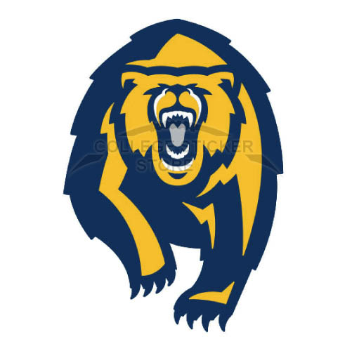 Customs California Golden Bears Iron-on Transfers (Wall Stickers)NO.4075